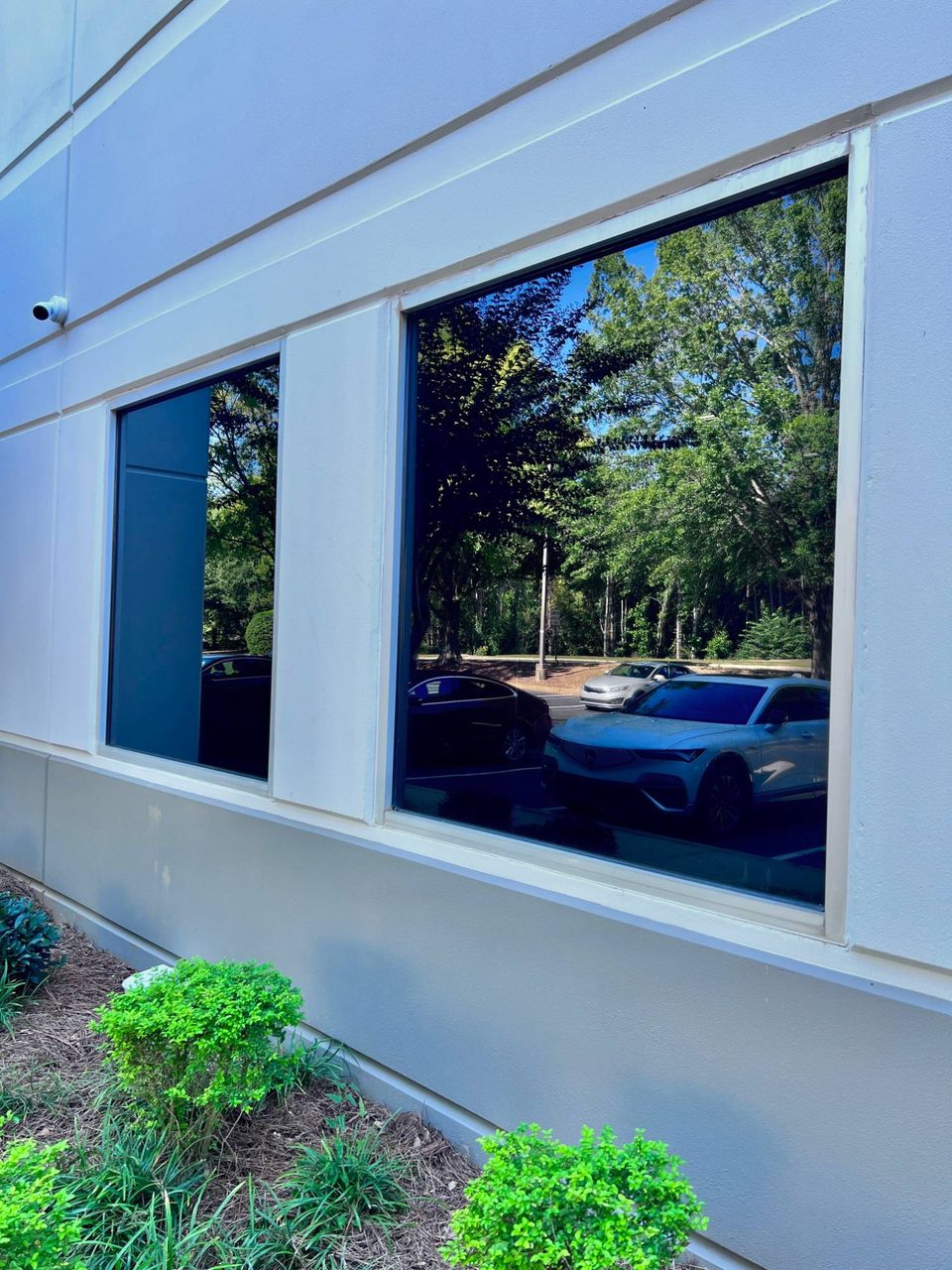 Tinted warehouse windows reflecting trees and the parking lot outside